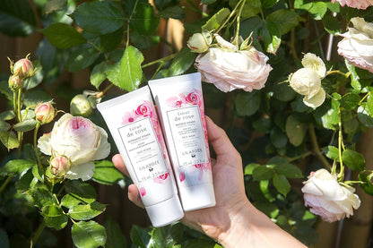 Masque Visage Extrait de Rose
